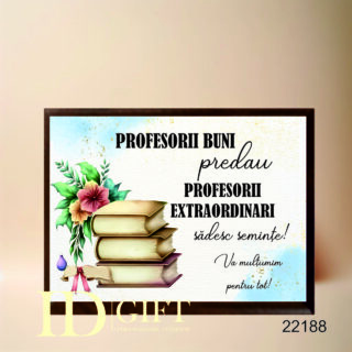 Placheta lemn - Profesorii buni predau
