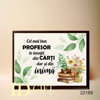 Placheta lemn - Cel mai bun profesor te invata